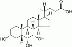 Гиохолевая кислота (HCA), липид, >99%