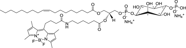 TopFluor™ PI(4)P — флуоресцентный фосфолипид