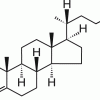 Холестенон (C27H44O), липид, >99%