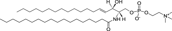 Сфингомиелин мозга (Brain SM), 18:0 SM