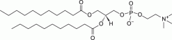 11:0 PC (PC(11:0/11:0)), фосфатидилхолин, CAS 27869-47-2