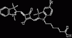 SquareFluor 631/646, свободная кислота