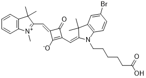 SquareFluor 631/646, свободная кислота