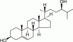 24(R)-гидроксихолестерин
