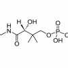 Кофермент A (свободная кислота)