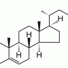 Кампестерол, фитостерол, CAS 474-62-4