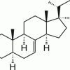 5α-7,24-холестадиен