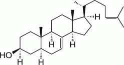 5α-7,24-холестадиен