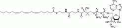 18:3 (n6) Кофермент A
