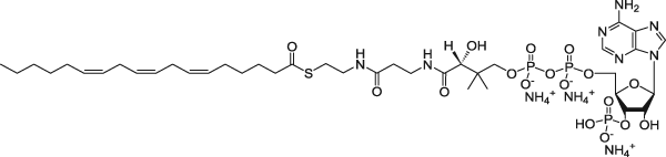 18:3 (n6) Кофермент A