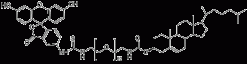 Chol-PEG1000 Fluorescein, флуоресцентный липид