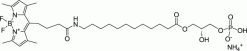 TopFluor™ Lyso PA, флуоресцентный лизофосфатидилэтаноламин