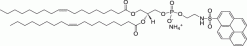 18:1 Pyrene PE — флуоресцентный липид