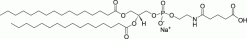 16:0 Glutaryl PE (DPPE-GA), липид