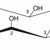 IP3(1,3,4) — инозитолтрифосфат, липид