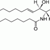 C11 TopFluor™ Galactosyl Ceramide