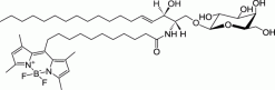 C11 TopFluor™ Galactosyl Ceramide