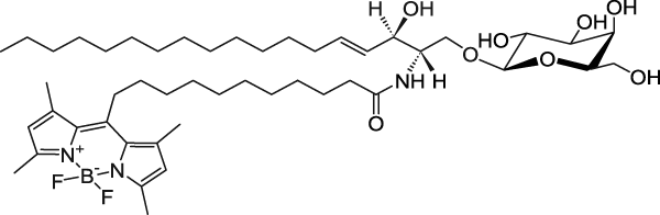C11 TopFluor™ Galactosyl Ceramide