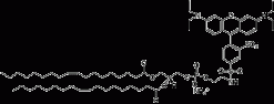 18:1 Liss Rhod PE (Lissamine Rhodamine B) липид