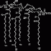 Липид A (14:0(5)-iso15:0(1))
