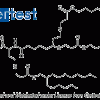 Certest CP-LC-1421, катионный ионизируемый липид