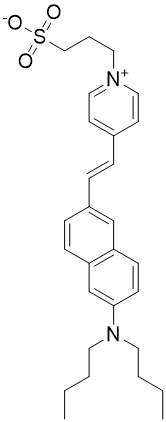 Di-4-ANEPPS, флуоресцентный липидный зонд