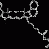 Цианиновый краситель Cyanine 3.5 NHS (Cy3.5 NHS), C42H44ClN3O4