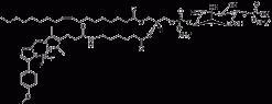 TopFluor™ TMR PI(4)P — флуоресцентный фосфолипид