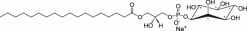 Liver Lyso PI (лизофосфатидилинозитол из печени)