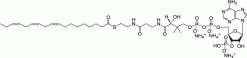 18:3 (n3) Коэнзим A