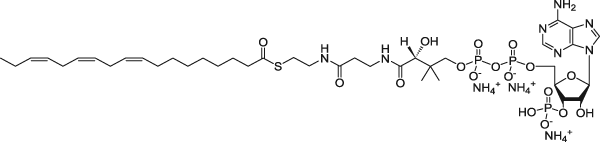 18:3 (n3) Коэнзим A