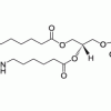 TopFluor™ PI(3,5)P2, флуоресцентный фосфолипид