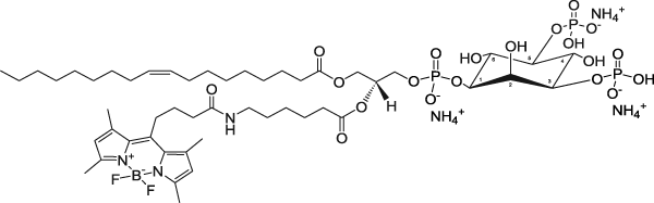TopFluor™ PI(3,5)P2, флуоресцентный фосфолипид