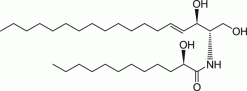 12:0(2R-OH) Церамид