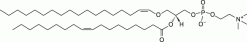 C18(Plasm)-18:1 PC, плазмалоген фосфатидилхолин