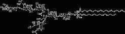 Ганглиозид GD1a (мозг свиньи)