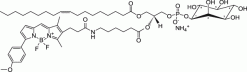 TopFluor™ TMR PI, флуоресцентный фосфолипид