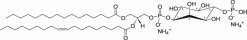 16:0-18:1 PI(4)P