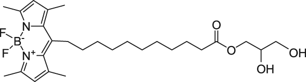C11 TopFluor™ MG, флуоресцентный липид