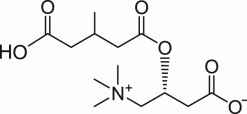 3-Метилглутарилкарнитин (3-Me-Glutaryl Carnitine), липид