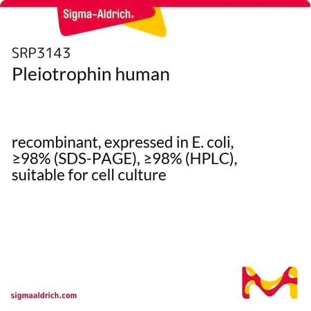 Плейотрофин человека, рекомбинантный, экспрессирован в E. coli