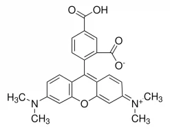 5-Карбокситетраметилродамин (5-TAMRA), CAS 91809-66-4