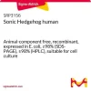 Sonic Hedgehog human, рекомбинантный, экспрессирован в E. coli