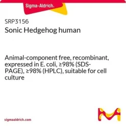 Sonic Hedgehog human, рекомбинантный, экспрессирован в E. coli