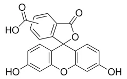 5(6)-Карбоксифлуоресцеин, BioReagent, для флуоресценции, ≥95% (HPLC)