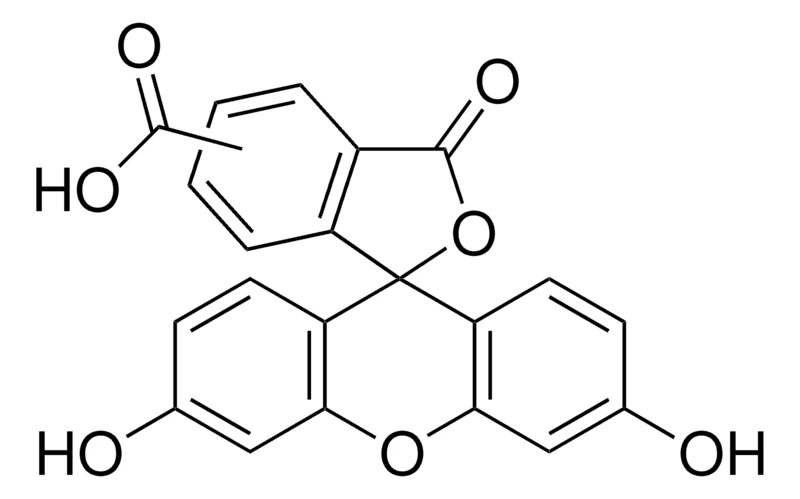 5(6)-Карбоксифлуоресцеин, BioReagent, для флуоресценции, ≥95% (HPLC)
