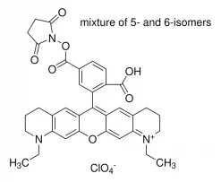 Атто 565 NHS-эфир, BioReagent, для флуоресценции, ≥90% (HPLC)