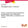 Здесьгулин бета-1 человеческий, рекомбинантный, из E. coli