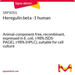 Здесьгулин бета-1 человеческий, рекомбинантный, из E. coli