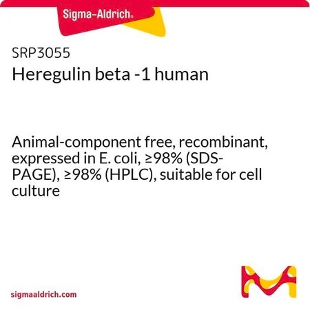 Здесьгулин бета-1 человеческий, рекомбинантный, из E. coli